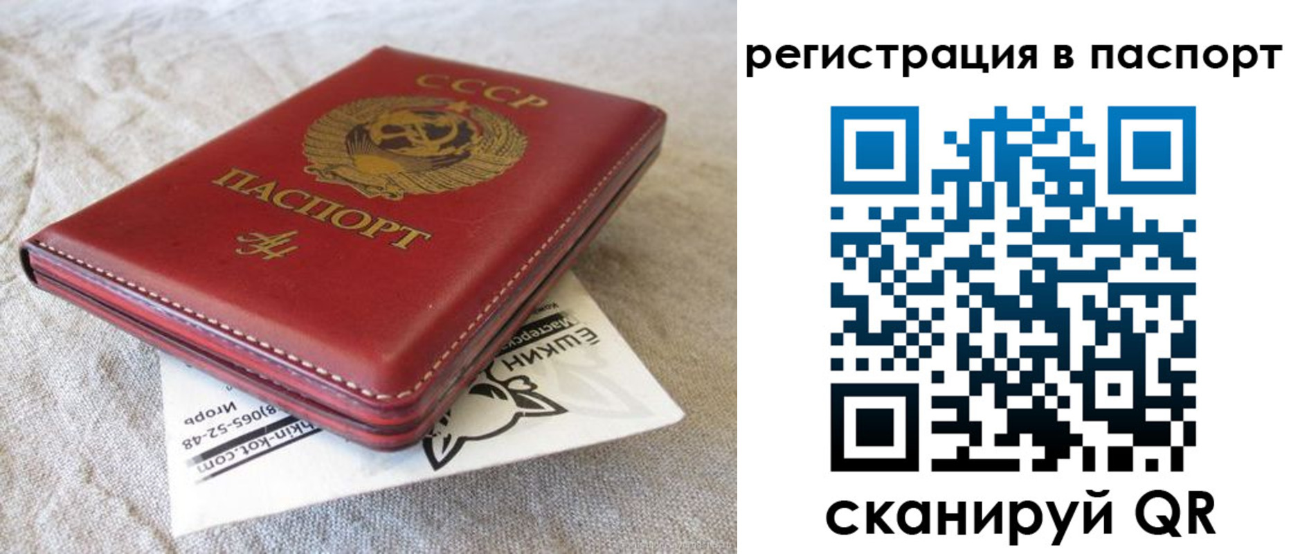 где прописаться в Пестово